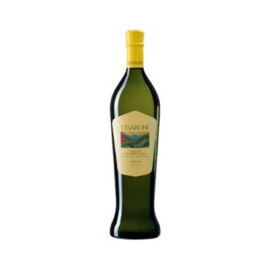 VERDICCHIO DEI CASTELLI DI JESI CLASSICO